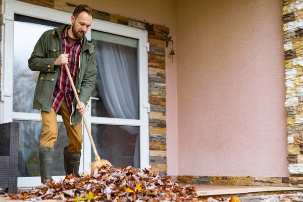 Best Junk Removal Near Me  in Ragland, AL